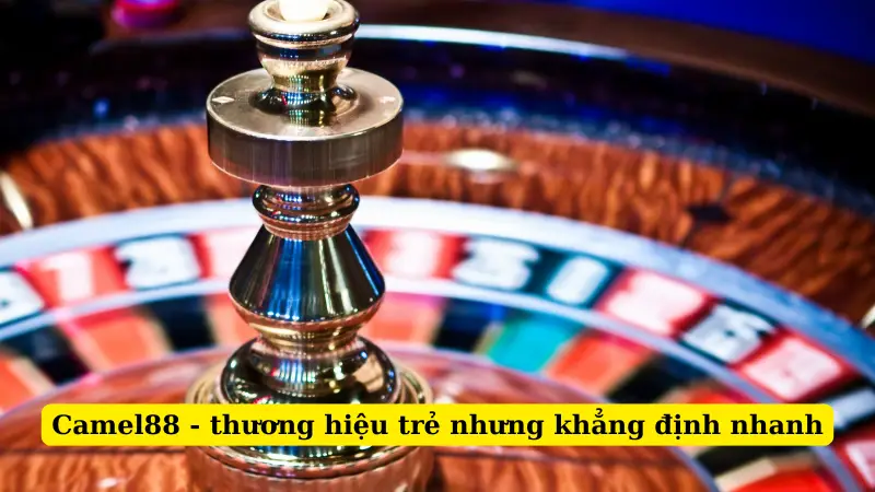 Camel88 - thương hiệu trẻ nhưng khẳng định nhanh