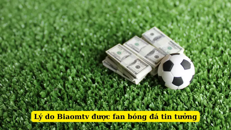 Lý do Biaomtv được fan bóng đá tin tưởng